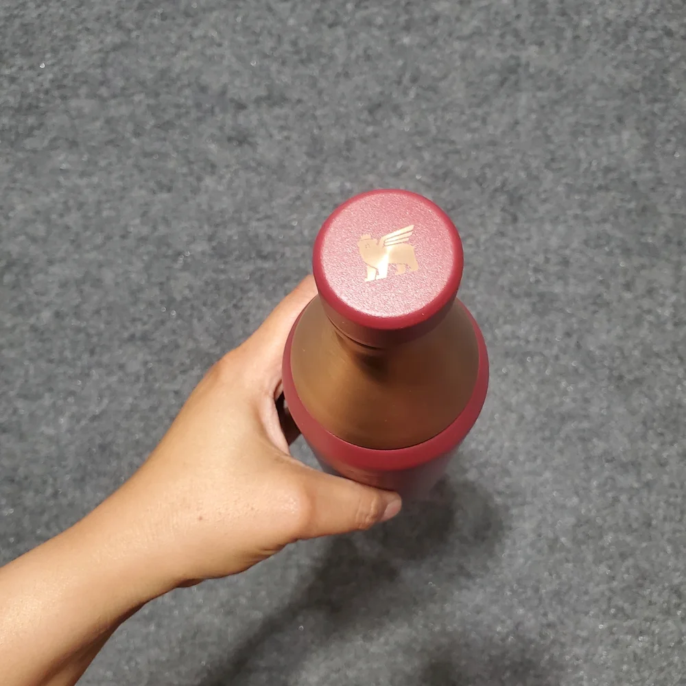 Stanley 20 oz All Day Slim Bottle Stainless Steel Cranberry Rose Gold w/Lid Gym - Picture 10 of 11